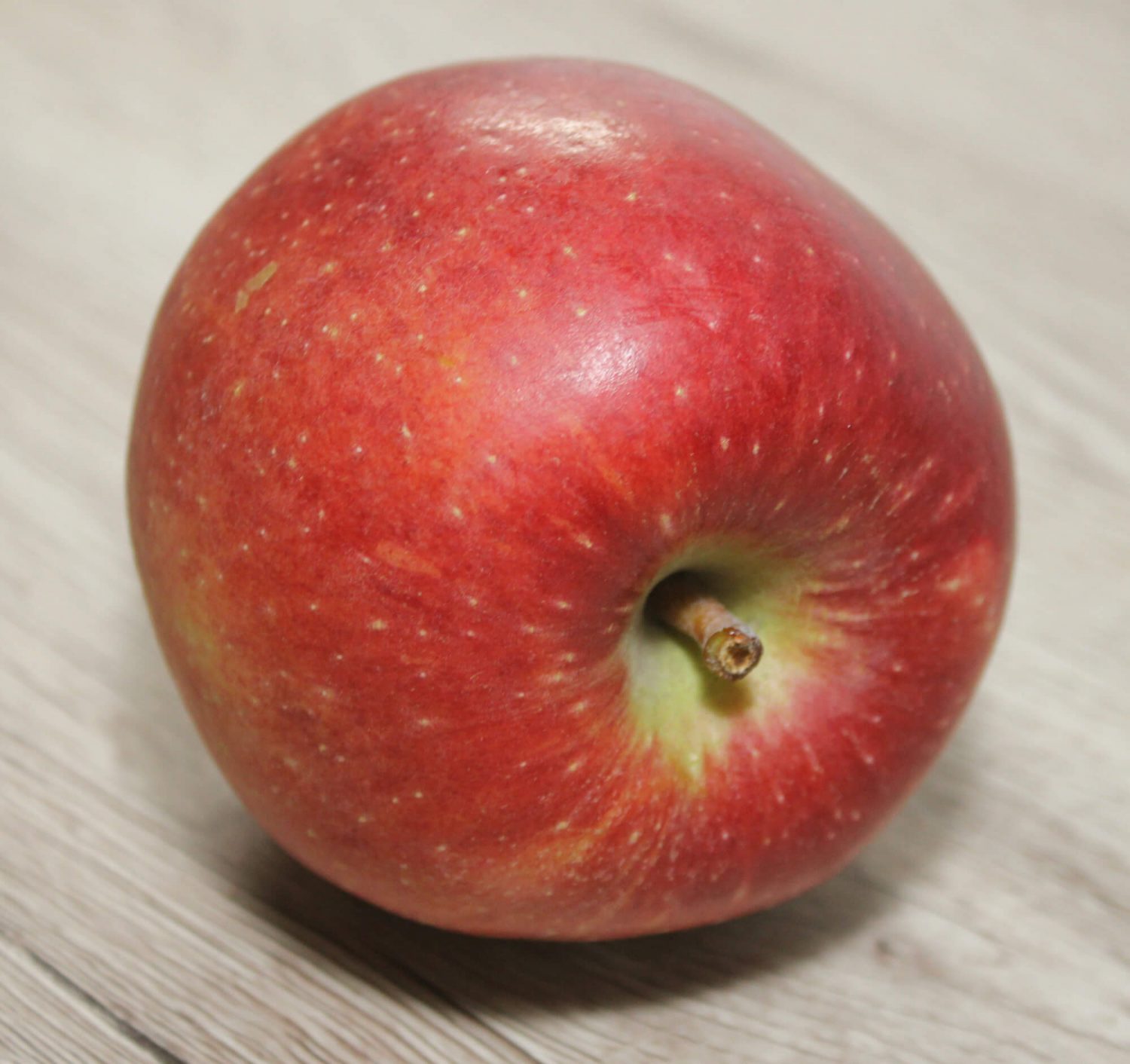 Liegender roter Apfel auf Augenhöhe von der Seite