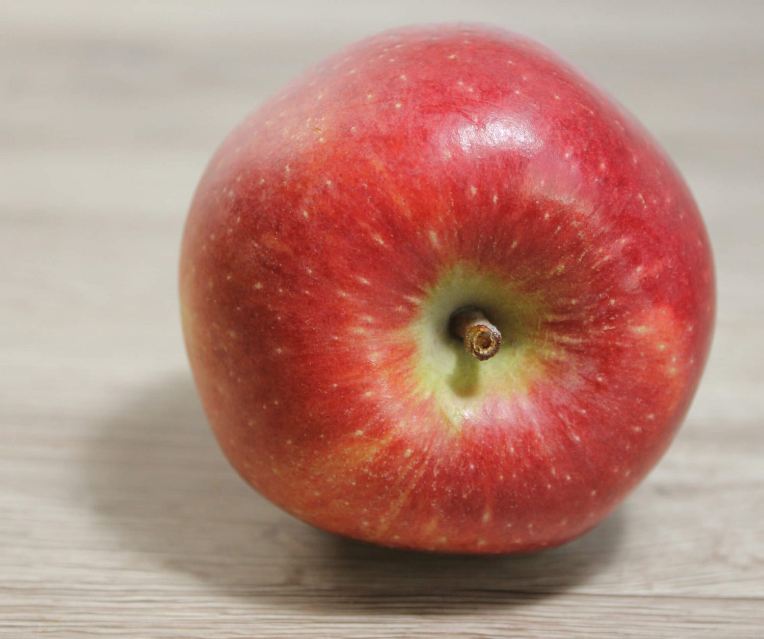 Fotovorlage: Liegender roter Apfel auf Augenhöhe von vorne