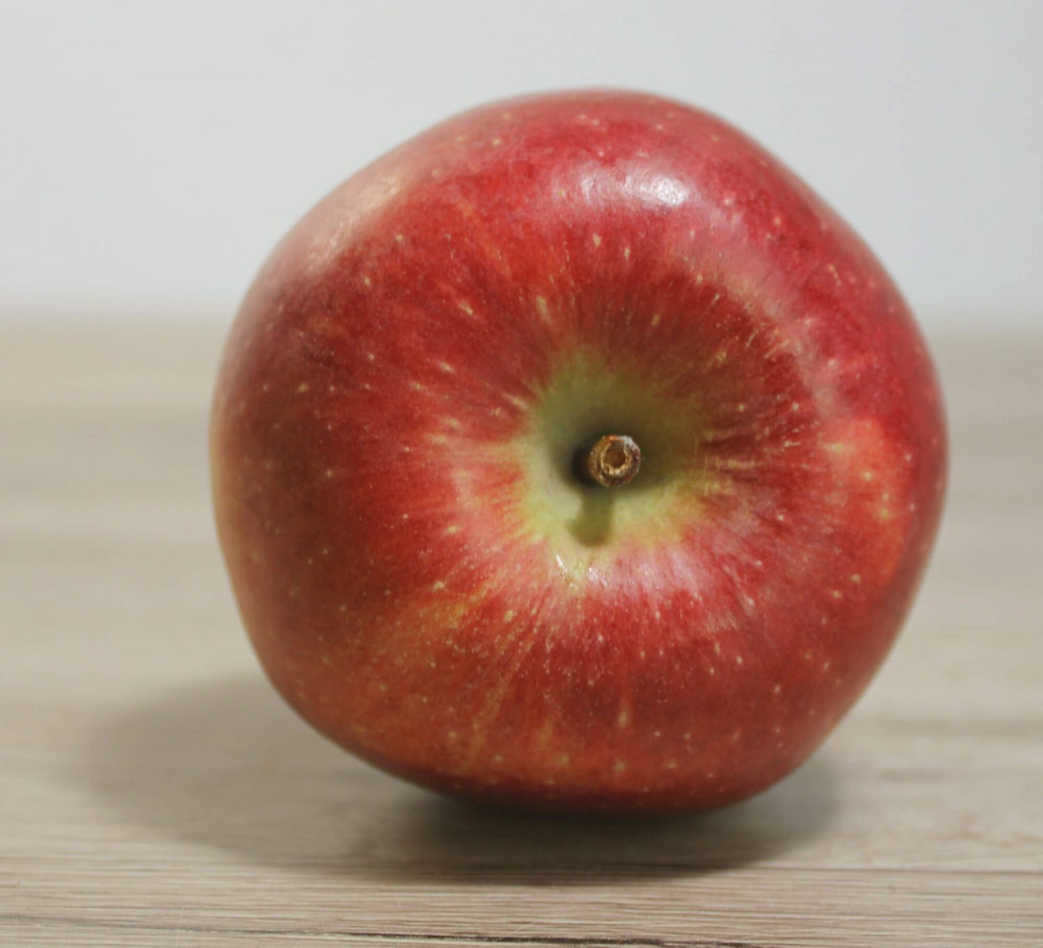 Zeichenvorlage: Liegender roter Apfel in Untersicht von vorne