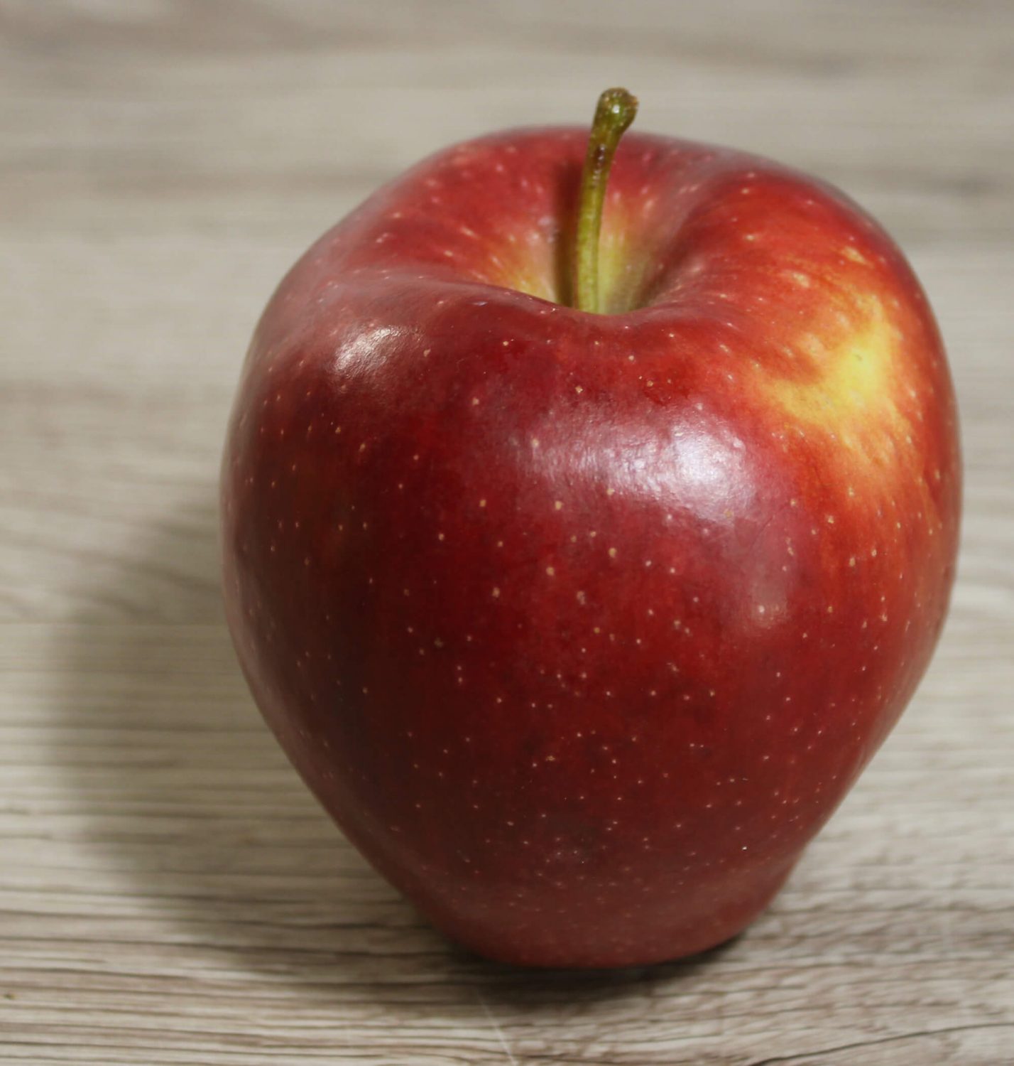 Zeichenvorlage: Stehender roter Apfel in Aufsicht