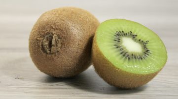 Kiwi Fotovorlagen zum Abzeichnen 2