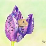 Maus in Tulpe zeichnen: Fertige Buntstiftkolorierung