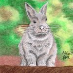 Graues Kaninchen zeichnen: Fertige buntstiftkolorierung