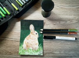 Braunes Kaninchen malen verwendete Materialien