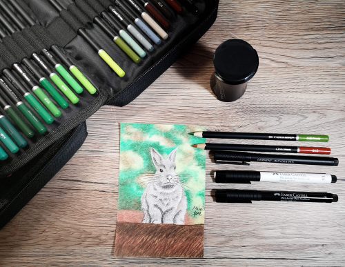Kaninchen zeichnen mit Buntstiften