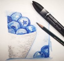 Blaubeeren malen mit Promarker 4