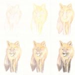Teil 1: Fuchs zeichnen mit Buntstiften