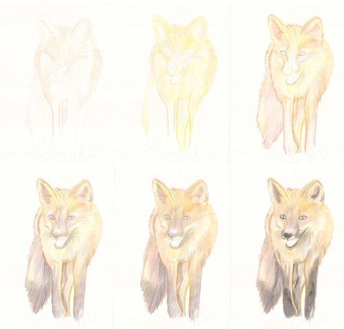 Teil 1: Fuchs zeichnen mit Buntstiften