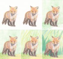 Fuchswelpe zeichnen mit Buntstiften - Schritt für Schritt 2