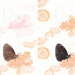 Schmetterling zeichnen mit Mitsubishi uni No. 888 Buntstiften