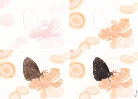 Schmetterling Buntstiftkolorierung Schritt 1