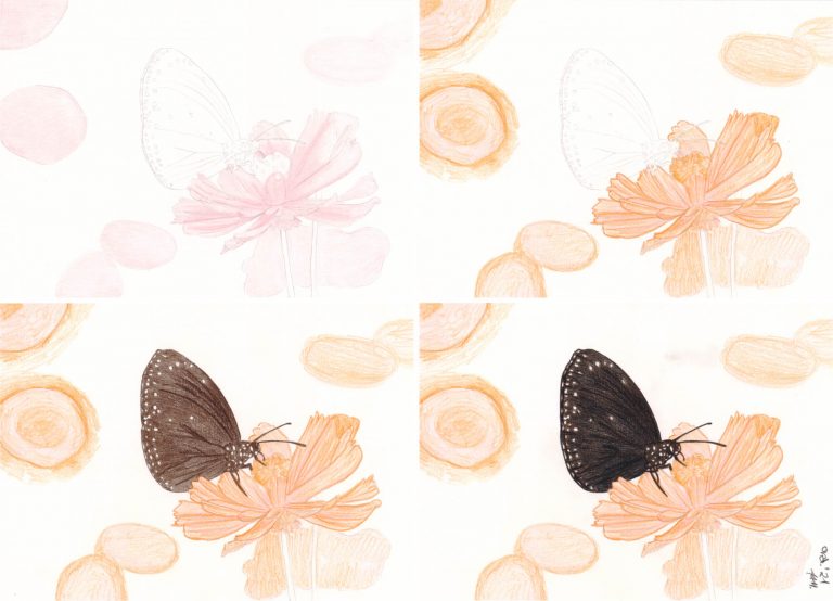 Schmetterling Buntstiftkolorierung Schritt 1
