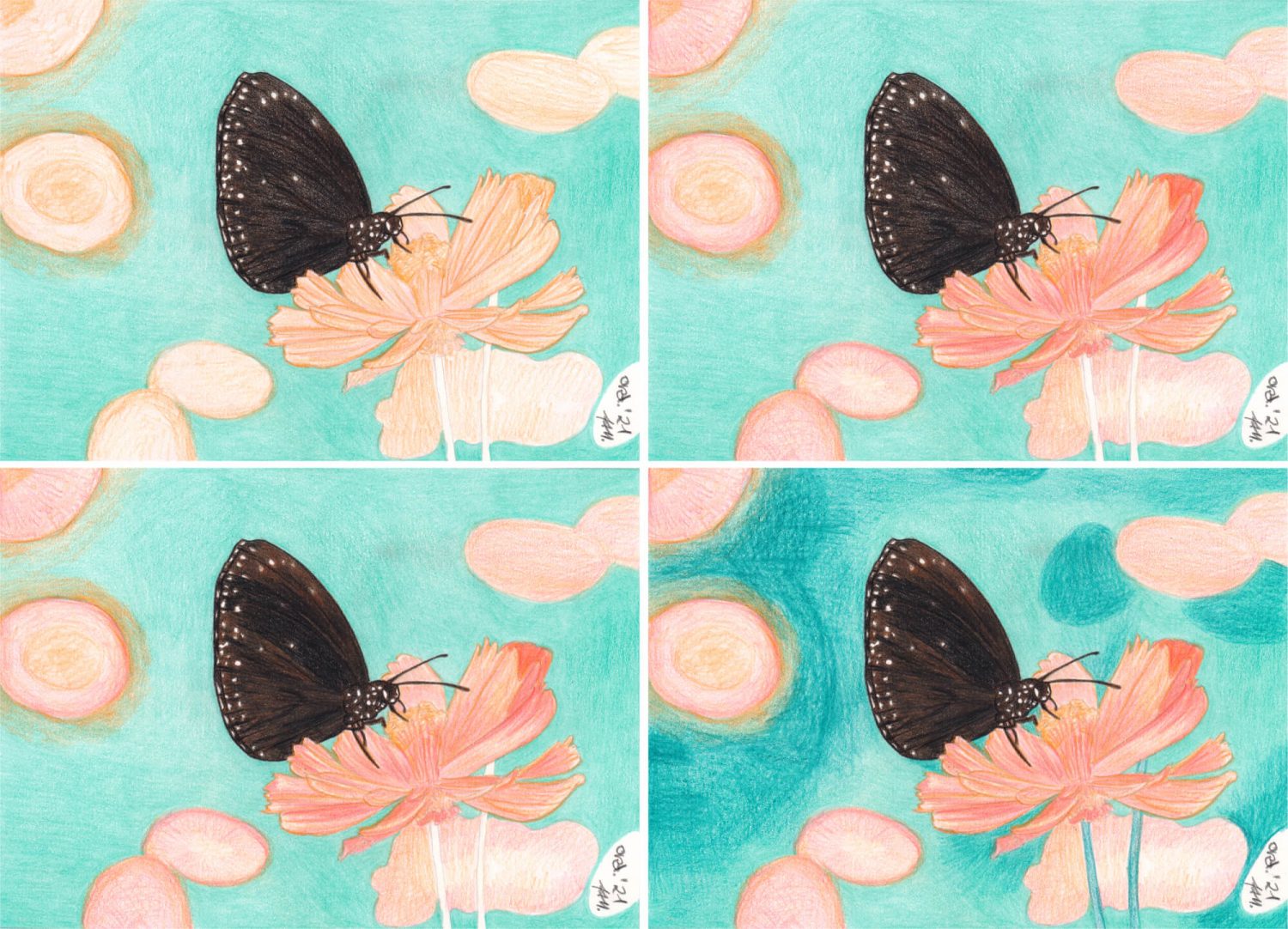 Schmetterling Buntstiftkolorierung Schritt 2
