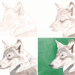 Wolf Portrait zeichnen mit Mitsubishi uni No. 888 Buntstiften