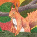Eichhörnchen auf Ast zeichnen mit Black Widow Buntstift