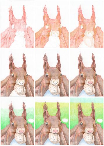 Eichhörnchen zeichnen mit – Mitsubishi uni No. 888 Buntstiften