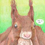 Eichhörnchen zeichnen mit Buntstift - Buntstiftzeichnung