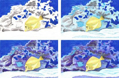 Hawaii Doktorfisch zeichnen Schritte 2