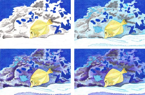 Hawaii-Doktorfisch zeichnen mit BIC Intensity Premium Buntstift