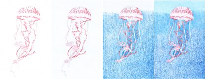 Qualle zeichnen: Buntstiftkolorierung Schritt für Schritt Tutorial 1