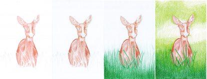 Reh zeichnen: Buntstiftkolorierung Schritt für Schritt Tutorial 1