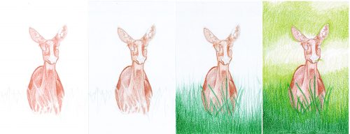 Reh zeichnen mit Holbein Buntstiften