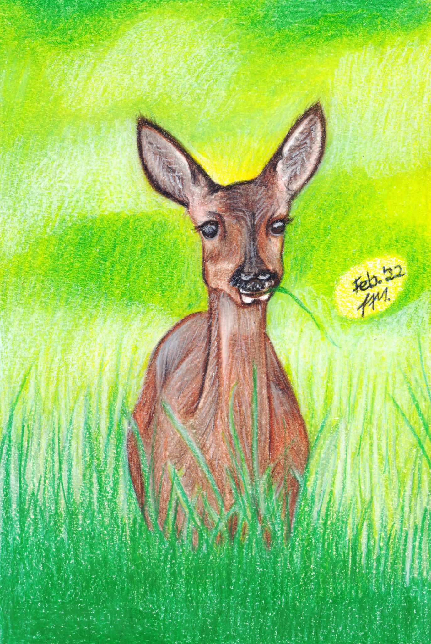 Reh zeichnen mit Holbein Artists' Colored Pencils (Buntstifttutorial)