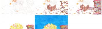 Anemonenfisch zeichnen - Schritt für Schritt