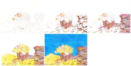 Anemonenfisch zeichnen mit Magic Buntstiften