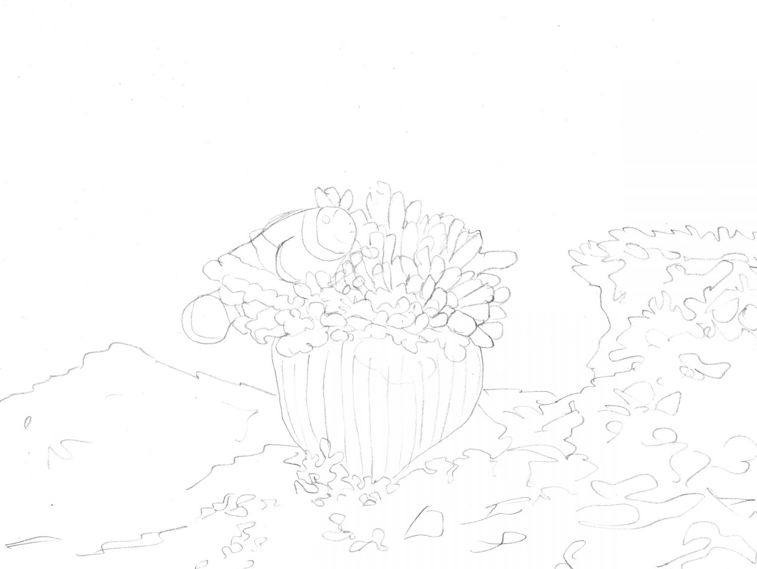 Anemonenfisch zeichnen - Bleistiftskizze Clownfisch