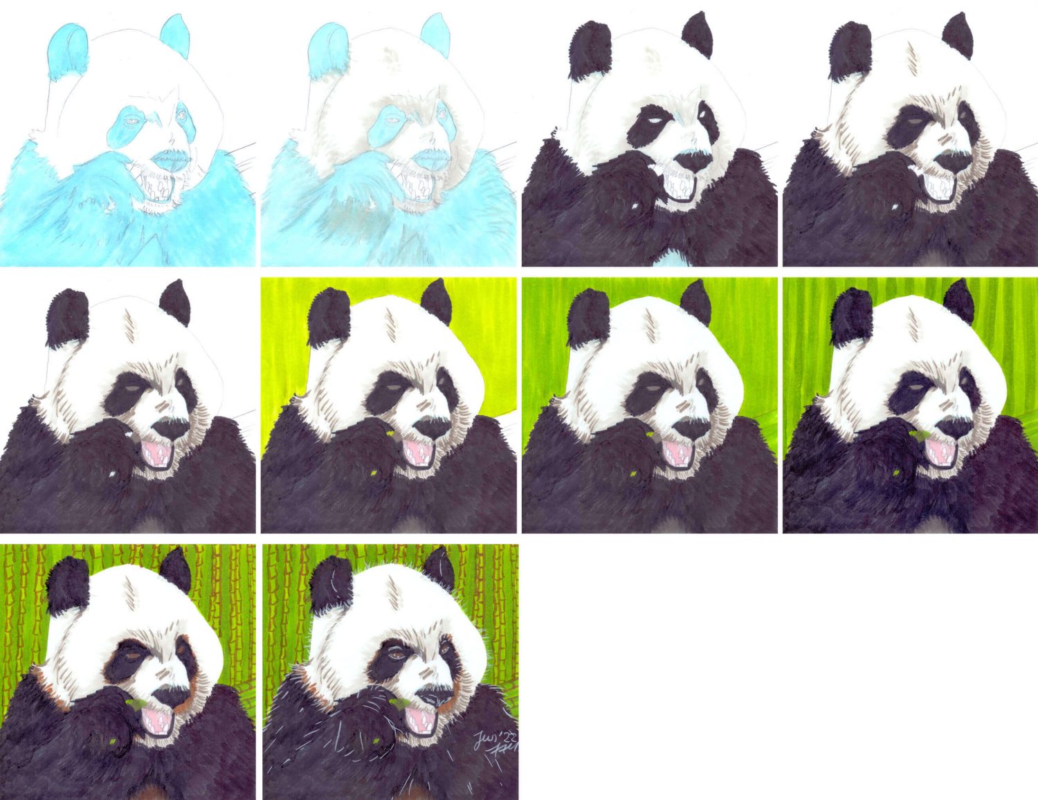 Panda mit Marker zeichnen einzelne Schritte