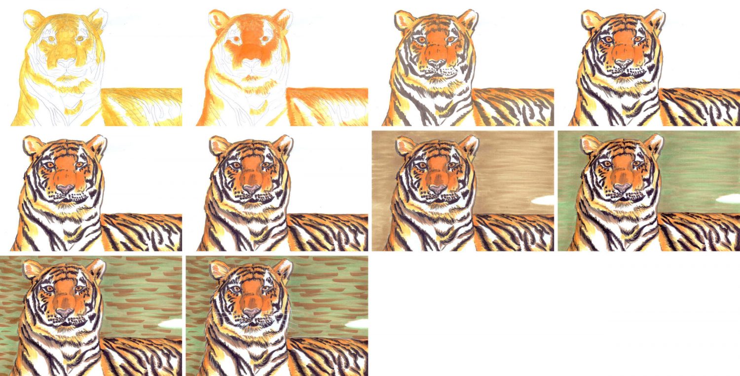 Tiger mit Marker zeichnen einzelne Schritte