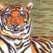 Tiger zeichnen: Fertige Markerzeichnung