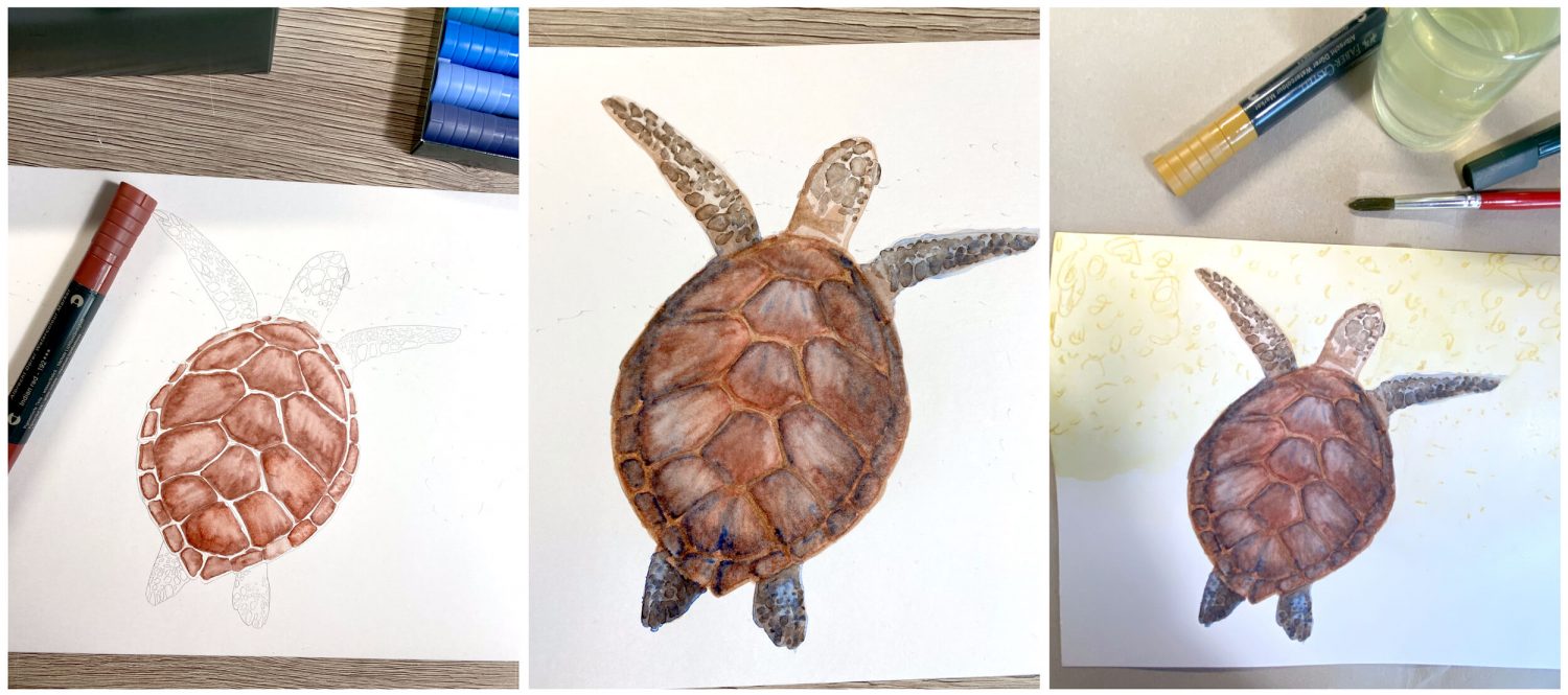 Meeresschildkröte mit Aquarellmarkern gemalt: Schritte 2
