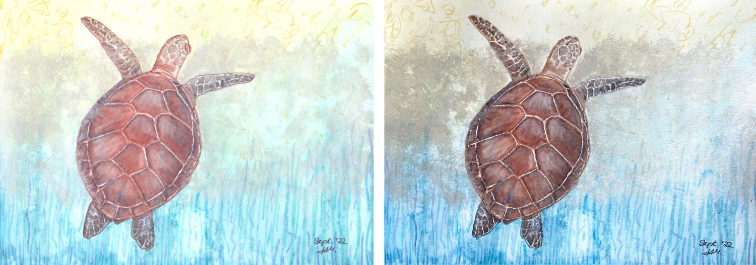 Meeresschildkröte mit Aquarellmarkern gemalt: Schritte 3