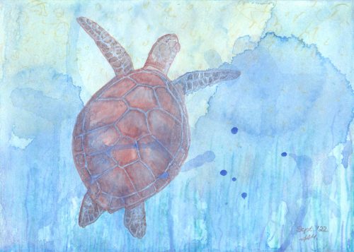 Fertig: Meeresschildkröte mit Aquarellmarkern gemalt