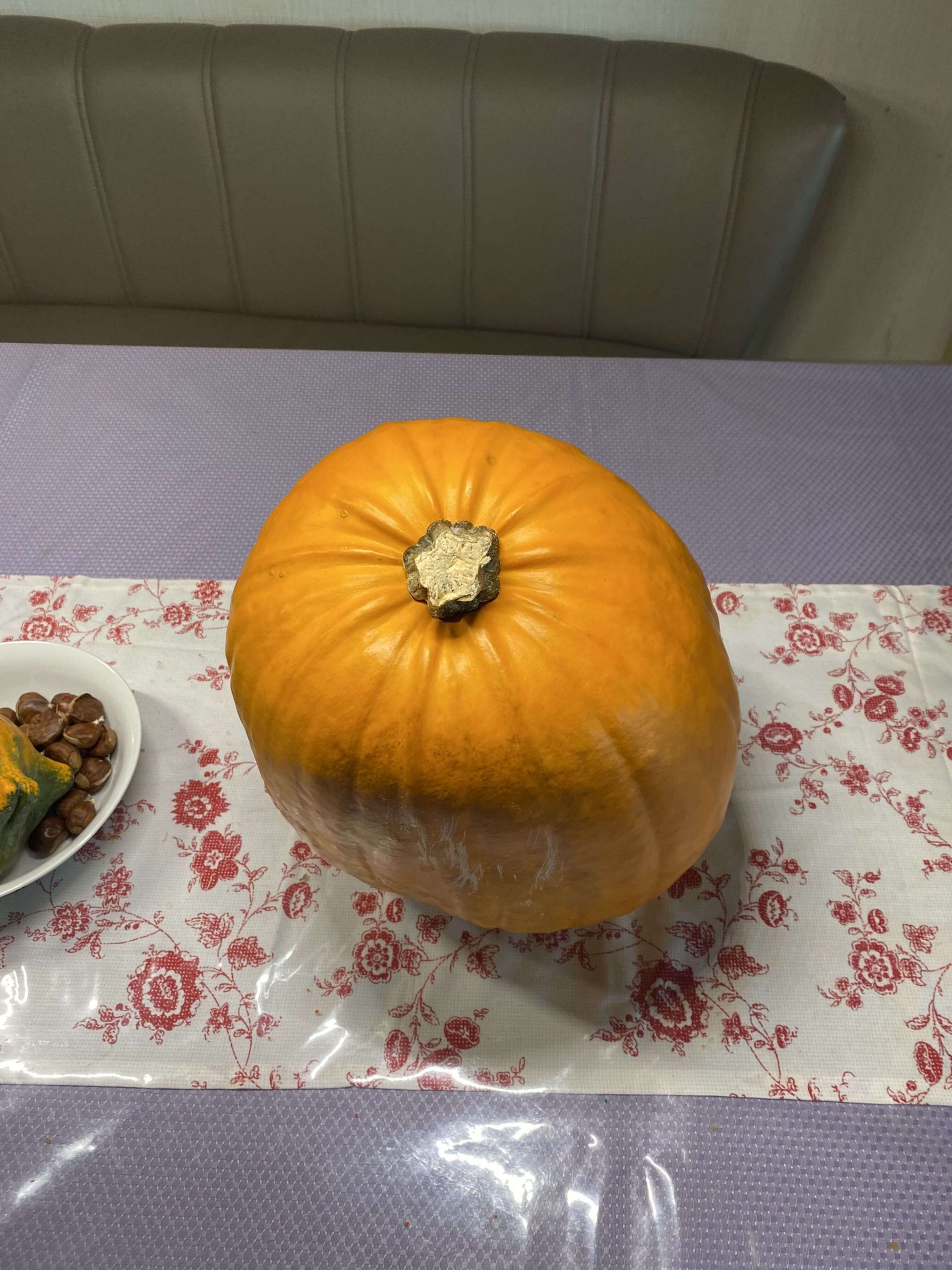 Halloween Kürbis Fotovorlagen zum Abzeichnen Zeichenvorlagen 1