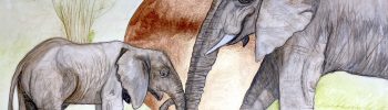 Fertige Elefant Aquarellmalerei