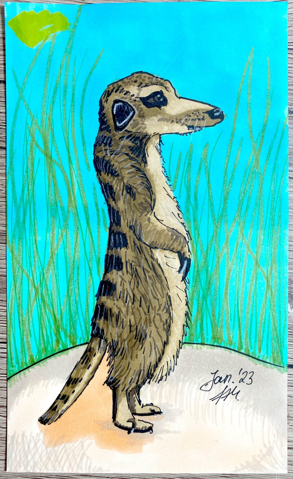 Erdmännchen mit Ohuhu Markern malen - Schritt für Schritt