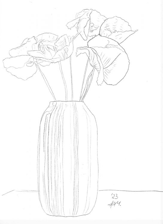 Mohnblumen in Vase: Skizze