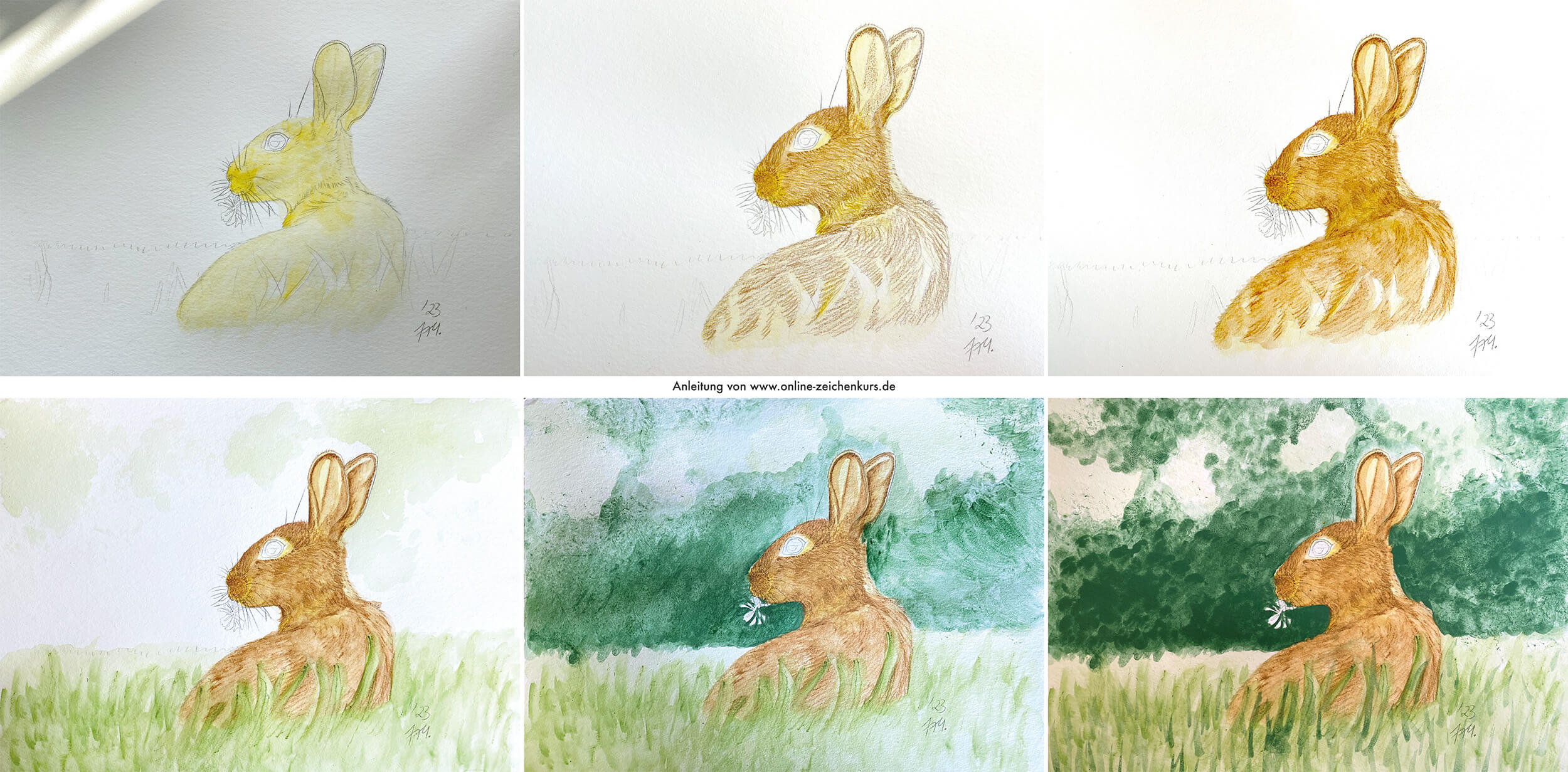 Kaninchen Aquarell malen: Schritt für Schritt