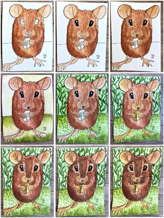 Postkarte: Maus Aquarell mit Albrecht Dürer Aquarellmarkern malen