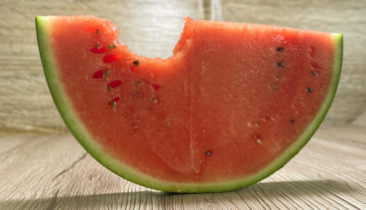 Wassermelone Fotovorlagen zum Abzeichnen