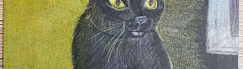 Katze auf Schwarz - Fertige Buntstiftkolorierung