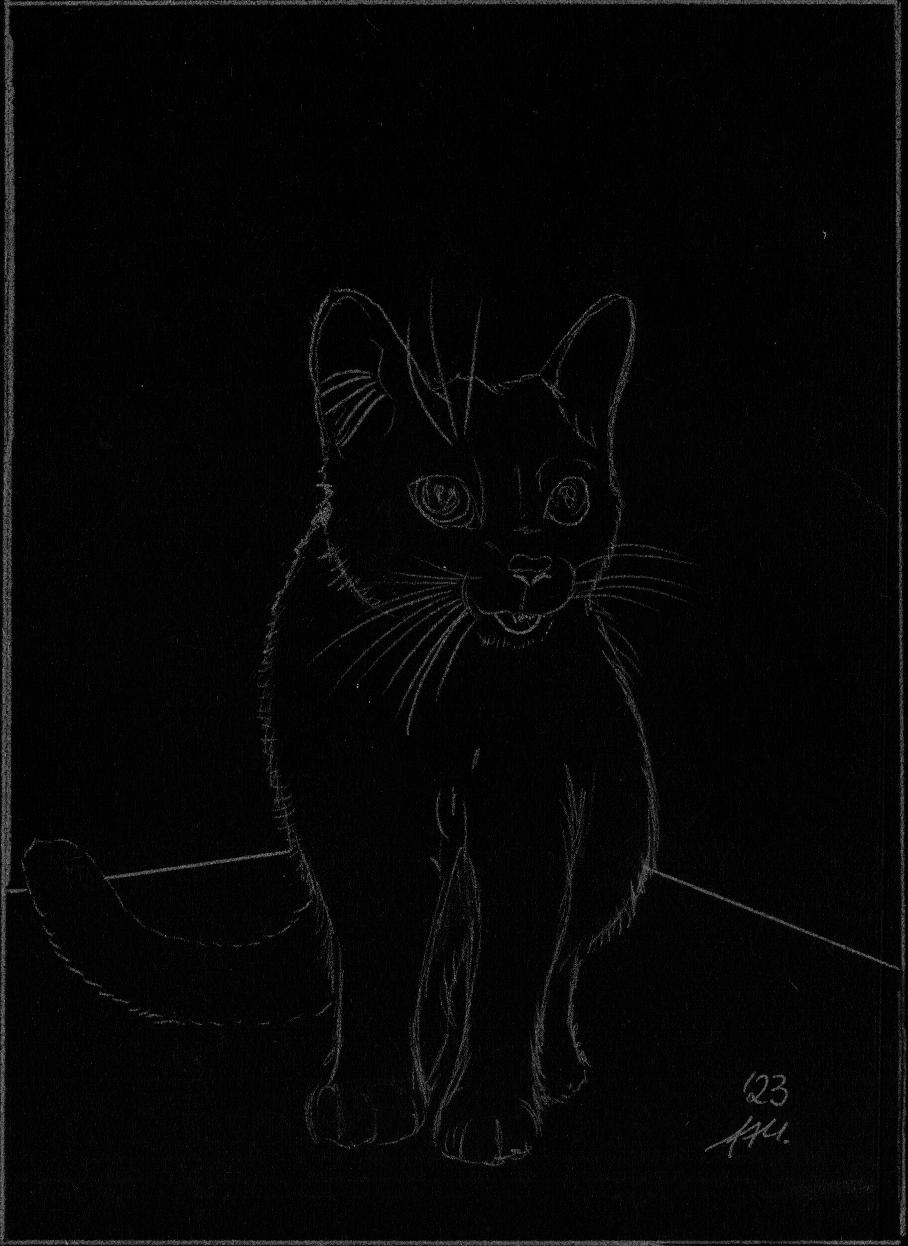 Katze auf Schwarz - Skizze