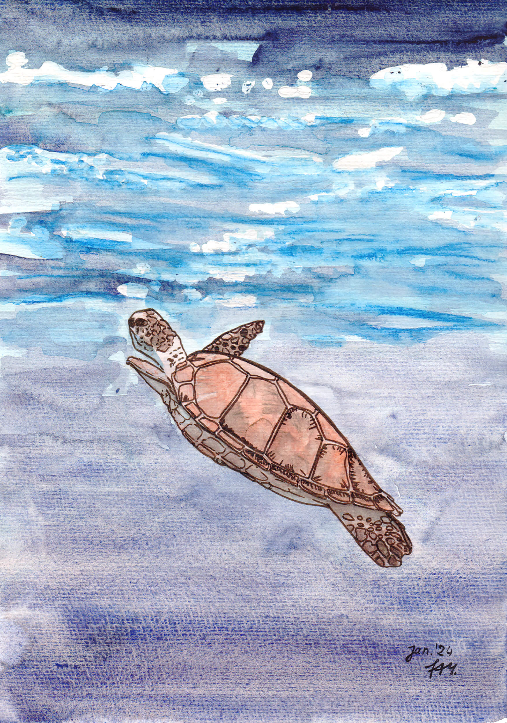 Meeresschildkröte malen: Fertiges Aquarell