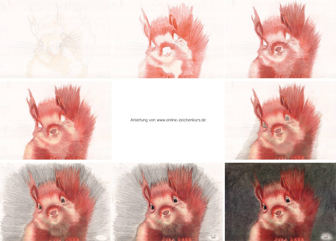  Eichhörnchen zeichnen mit Coloursoft Buntstiften Bildidee 