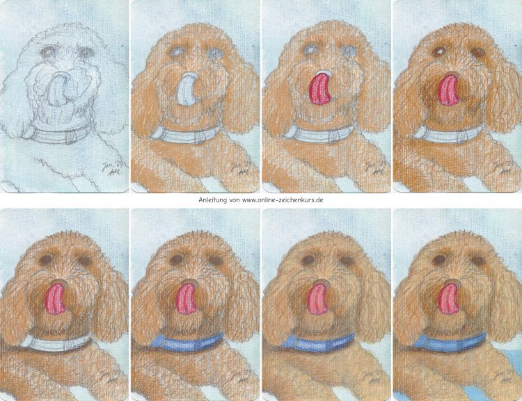 Pudel zeichnen mit Coloursoft Buntstiften