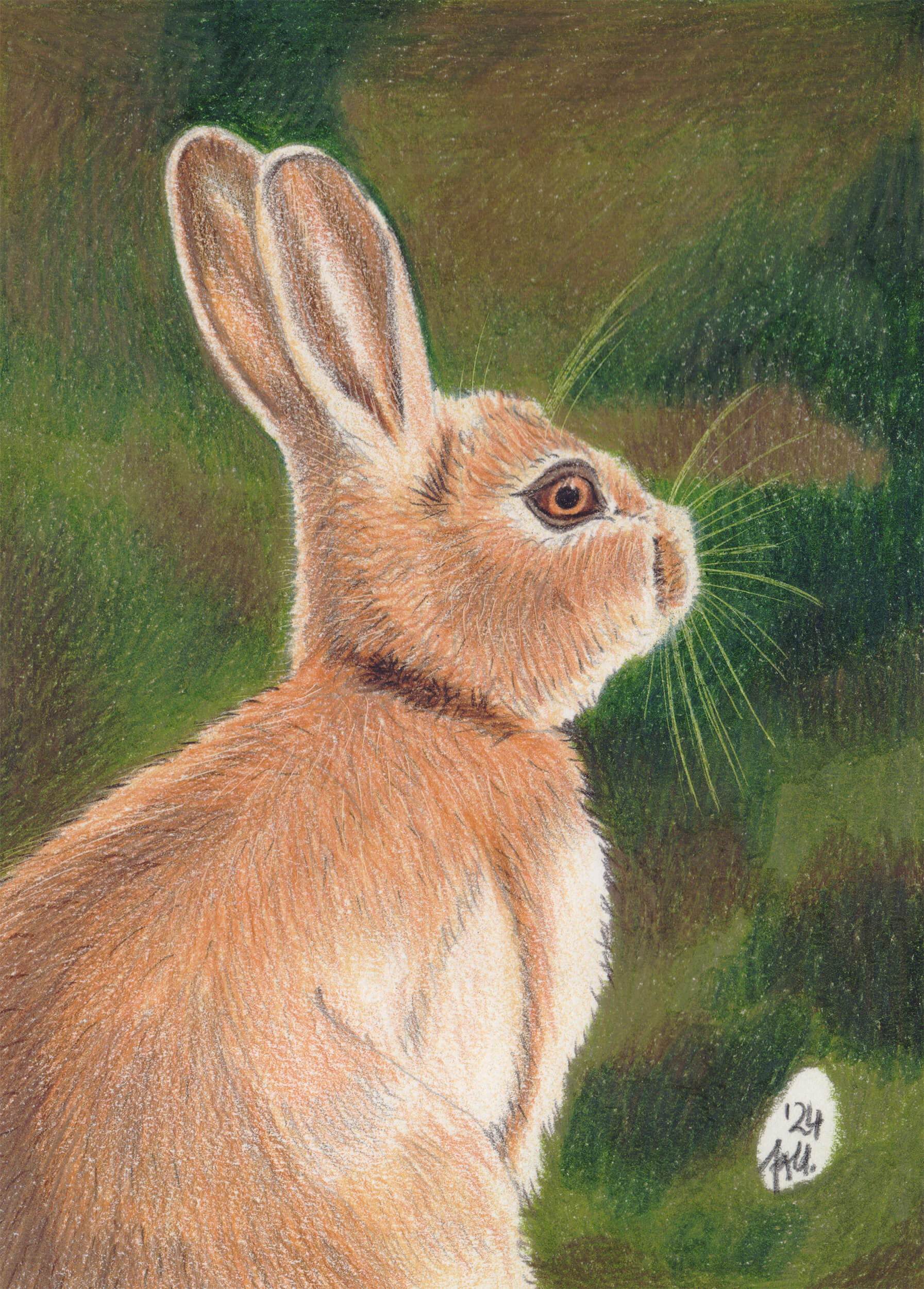 Braunes Kaninchen zeichnen Buntstiftkolorierung