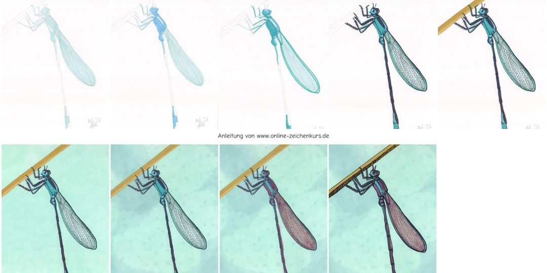 Libelle Markerkolorierung Schritt für Schritt